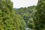 1051 Ducks Nest Road - Photo 14