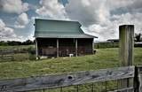 3901 Spring Place Road - Photo 41
