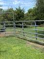 239 Hames Road - Photo 53