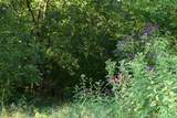 323/17 Ac County Road 2 - Photo 10