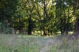 323/17 Ac County Road 2 - Photo 9