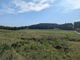 22.73 Acre Aslinger Road - Photo 10