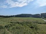 22.73 Acre Aslinger Road - Photo 11