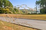 Lot 67 Clubhouse Drive - Photo 8