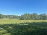 1495 Trace Creek Road - Photo 5
