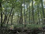 1495 Trace Creek Road - Photo 8