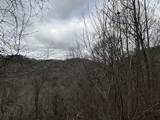 299 Sassafras Ridge Road - Photo 3