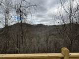 299 Sassafras Ridge Road - Photo 34