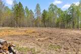 Lot 93 Raulston Falls Road - Photo 21