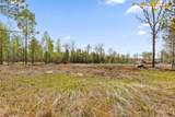Lot 93 Raulston Falls Road - Photo 23