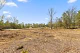 Lot 93 Raulston Falls Road - Photo 25