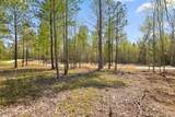 Lot 93 Raulston Falls Road - Photo 26