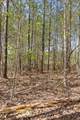 Lot 93 Raulston Falls Road - Photo 28