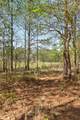 Lot 93 Raulston Falls Road - Photo 29