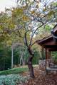 9009 Cove Road - Photo 13