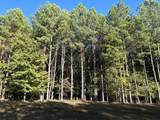 2035-Jf-609 Crockett Point - Photo 1