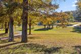2508 Lake Dweller Lane - Photo 47