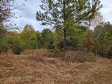 255-102 Falling Cliff Drive - Photo 10