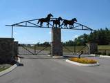 255-102 Falling Cliff Drive - Photo 12