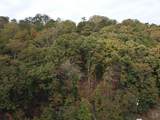 2527 Ga 136 - Photo 9