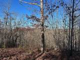 Tract 4-4 South Pittsburg Mtn Road - Photo 3