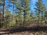 Tract 4-4 South Pittsburg Mtn Road - Photo 4