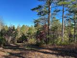 Tract 4-4 South Pittsburg Mtn Road - Photo 5
