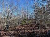 Tract 4-4 South Pittsburg Mtn Road - Photo 6