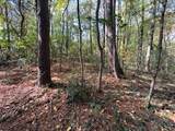 0 Ryman Ridge Road - Photo 4