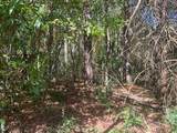 0 Ryman Ridge Road - Photo 6