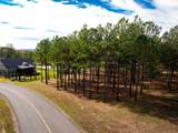 0 Deer Ridge Point - Photo 12