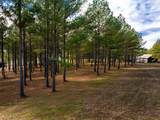 0 Deer Ridge Point - Photo 14