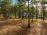 0 Deer Ridge Point - Photo 17