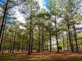 0 Deer Ridge Point - Photo 19