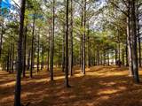 0 Deer Ridge Point - Photo 21