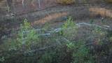 135 David Brown Road - Photo 7