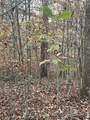 468 Horns Creek Road - Photo 2