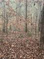 468 Horns Creek Road - Photo 3