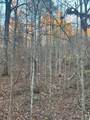 468 Horns Creek Road - Photo 8