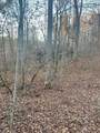 468 Horns Creek Road - Photo 9