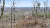 974 Bluff Ledge Trail - Photo 7