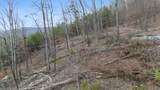 974 Bluff Ledge Trail - Photo 8