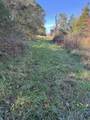 0 Sugar Tree Trail - Photo 4