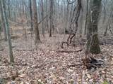 782 Rigsby Toll Road - Photo 11