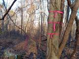 782 Rigsby Toll Road - Photo 22