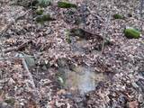 782 Rigsby Toll Road - Photo 6