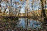 10688 Pine Hill Road - Photo 24