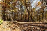 10688 Pine Hill Road - Photo 34
