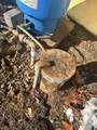 92 Bluff Road - Photo 40