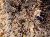 151 Hail Hollow Road - Photo 41